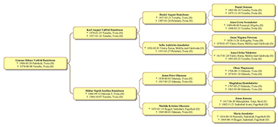 Pedigree to display genalogy research.